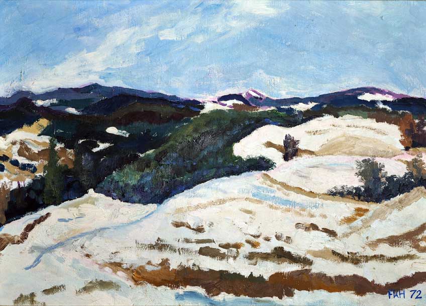 Schneelandschaft - Blick von Höchenschwand Richtung Feldberg