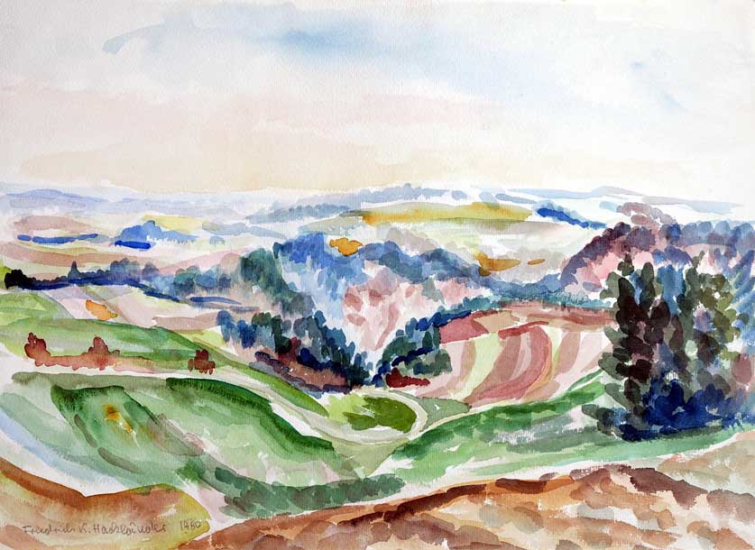 Landschaft bei Nöggenschwiel