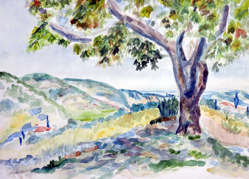 Landschaft mit Baum - Istrien