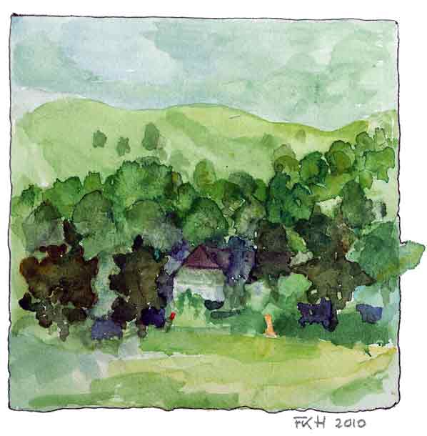 Sommer im Schwarwald