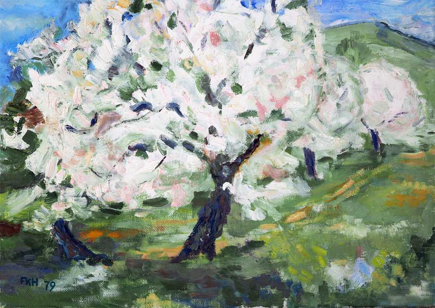 Apfelblüte bei Degernau