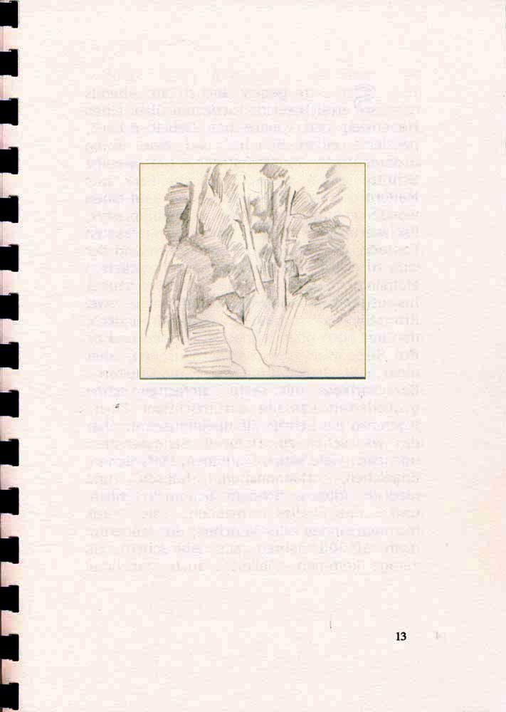 Odenwaldwanderung - Seite 13